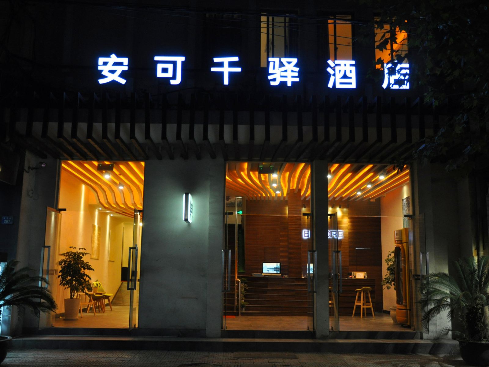 外观