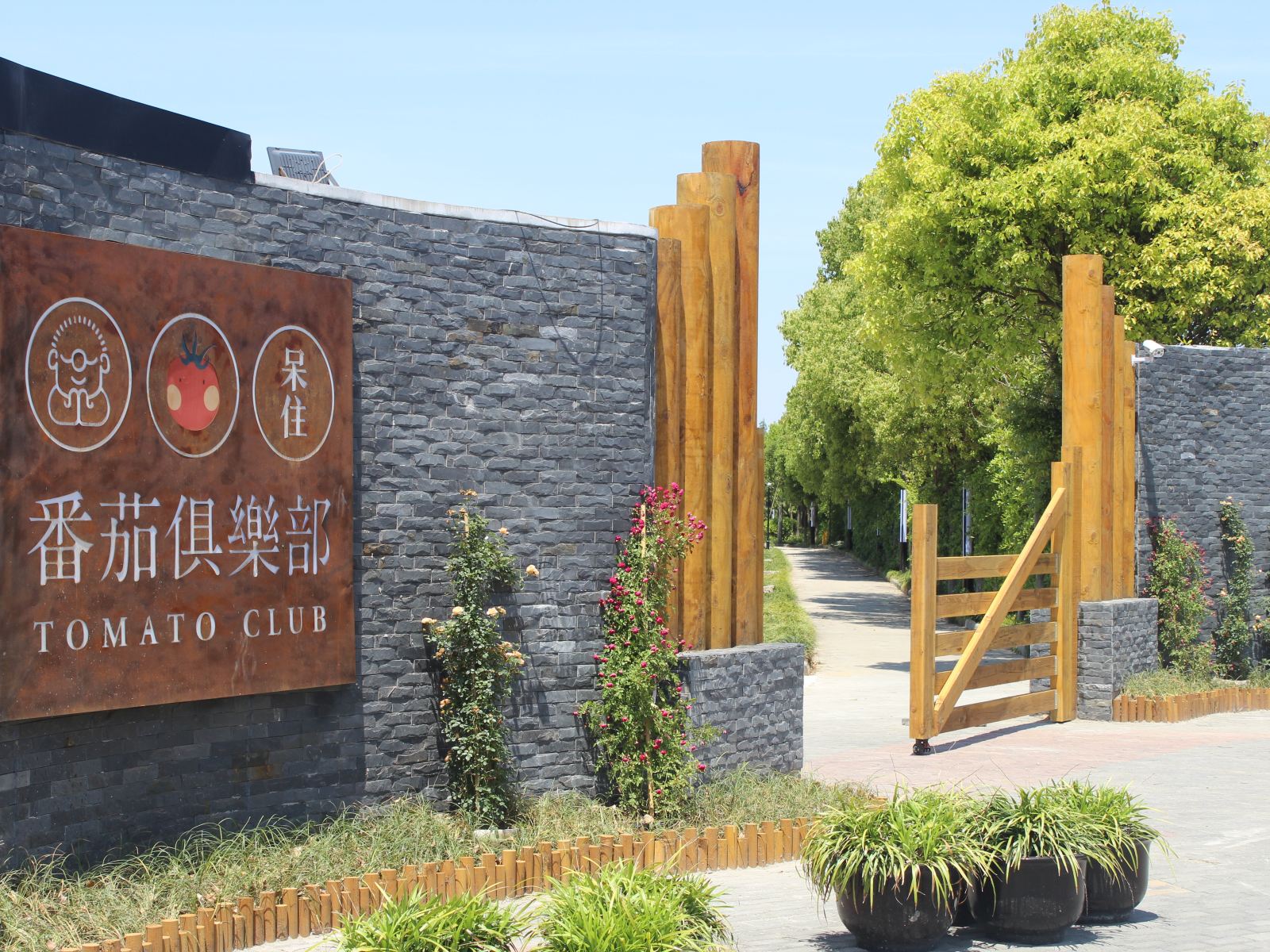 启东呆住·番茄俱乐部