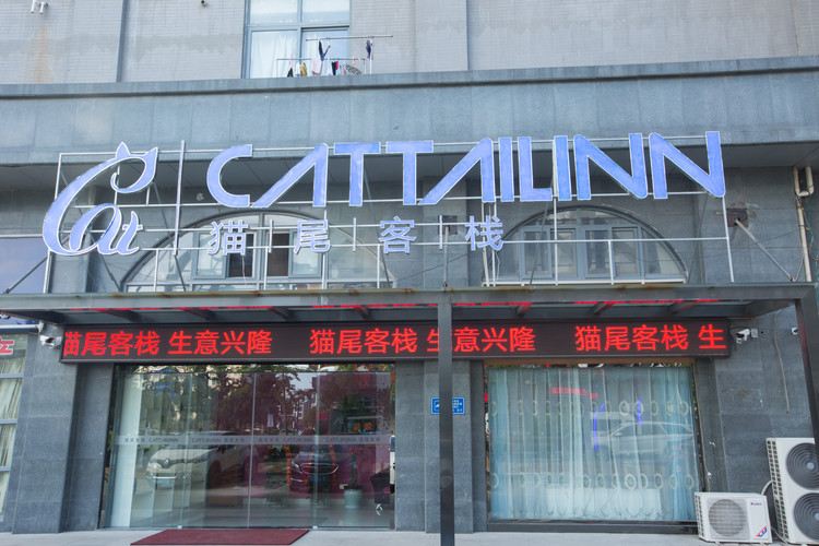 盐城猫尾客栈