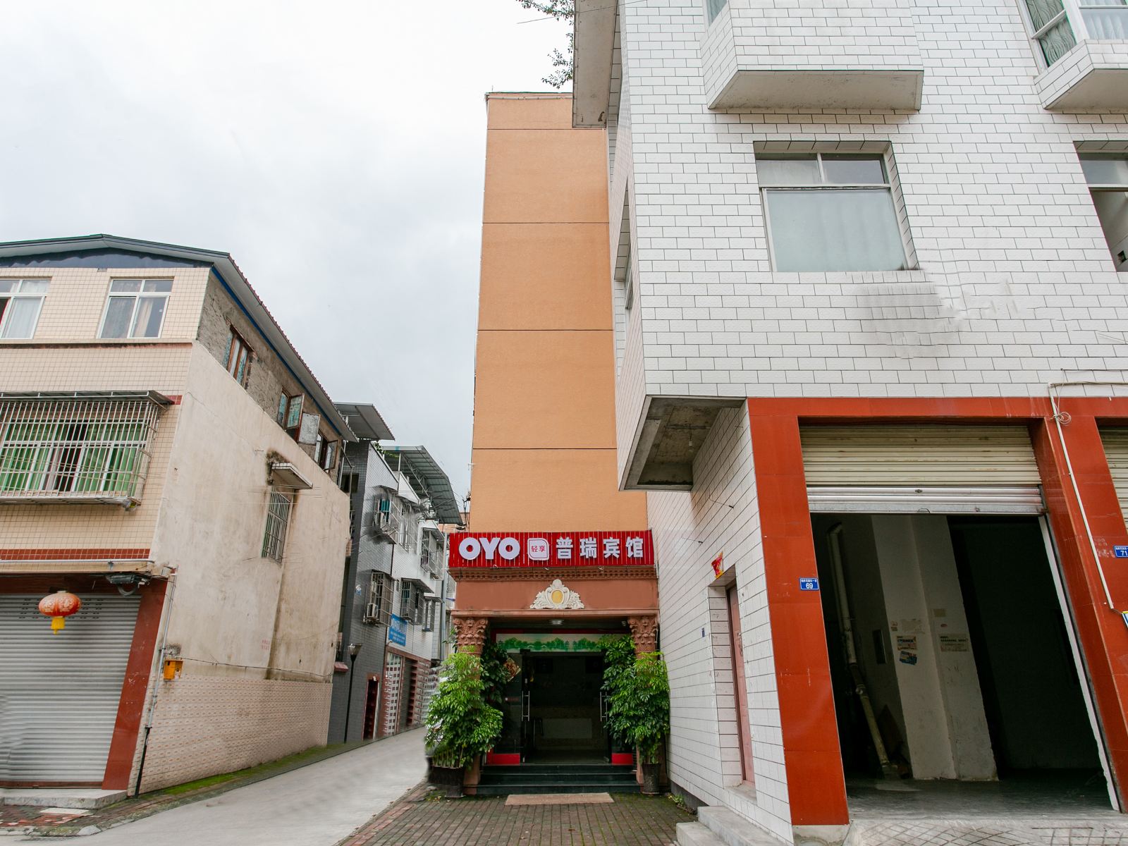 外观