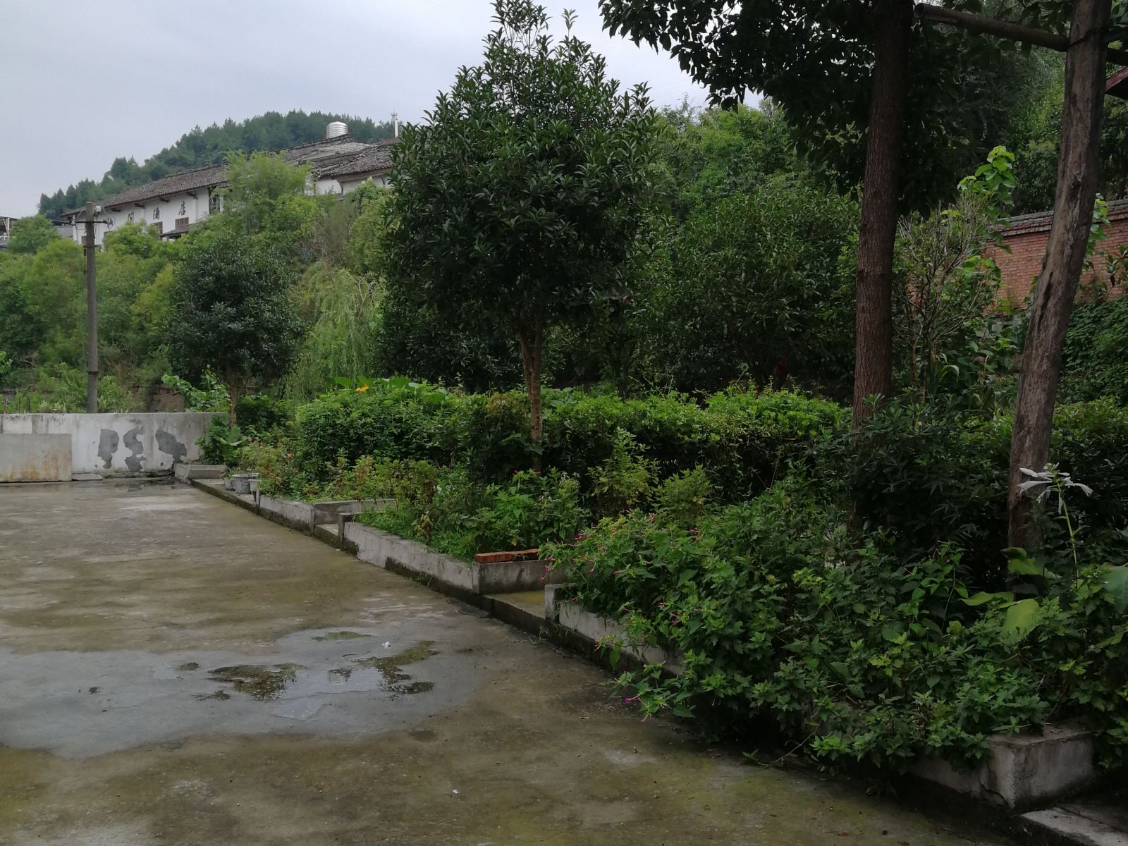 其他