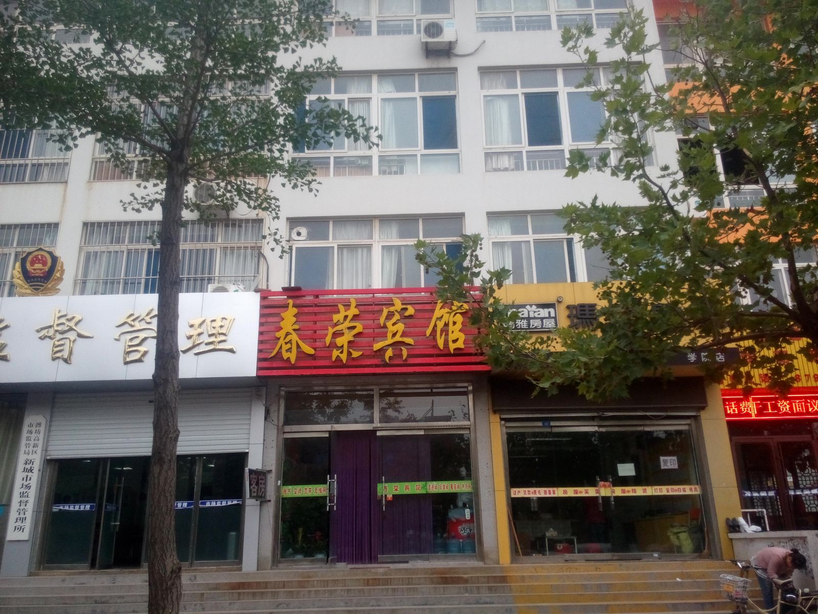 外观
