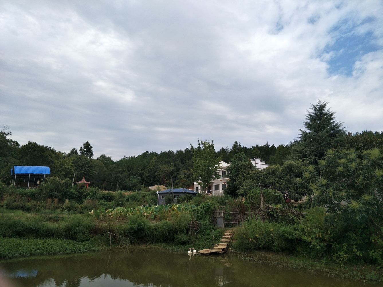 其他