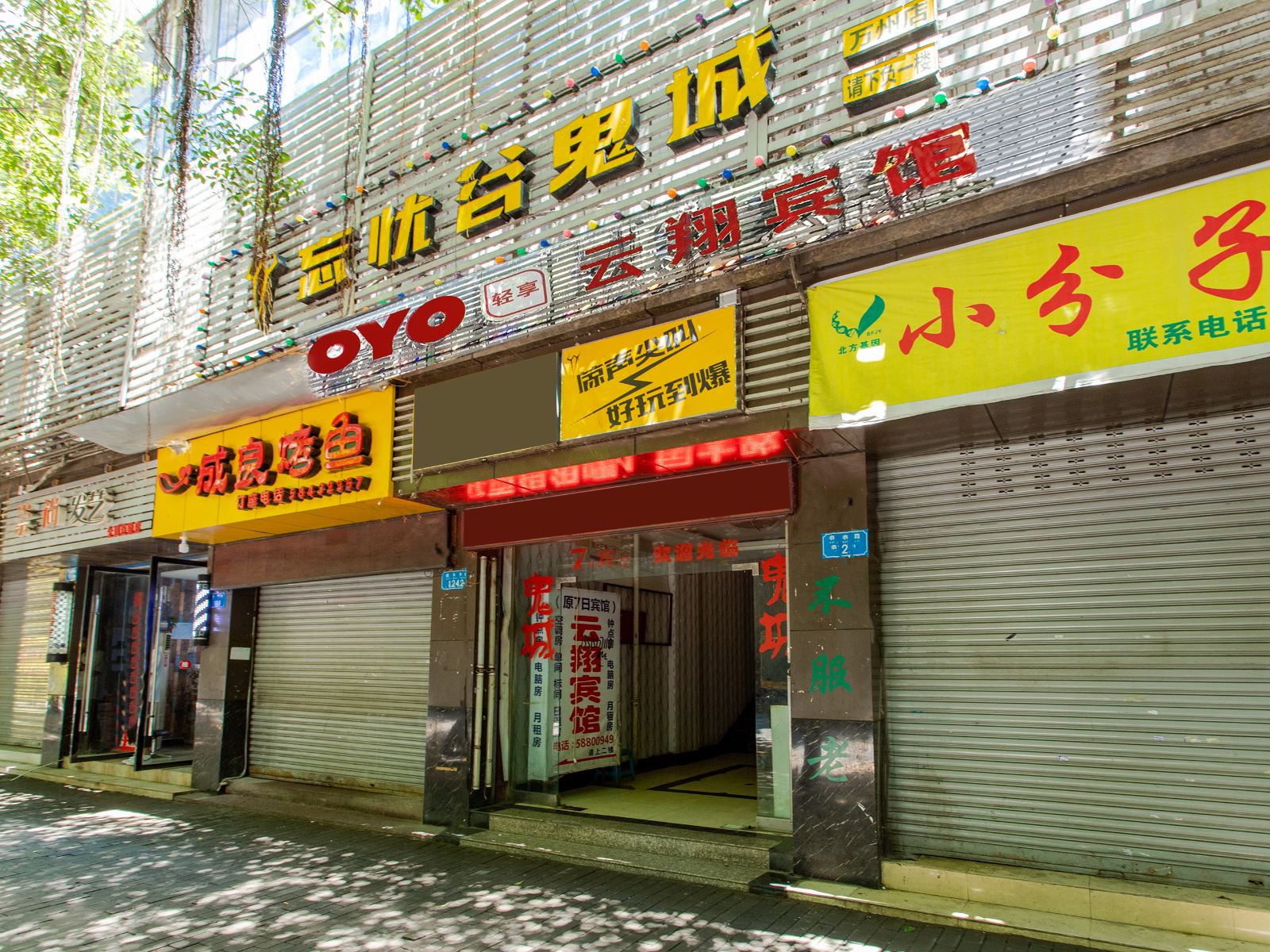 外观