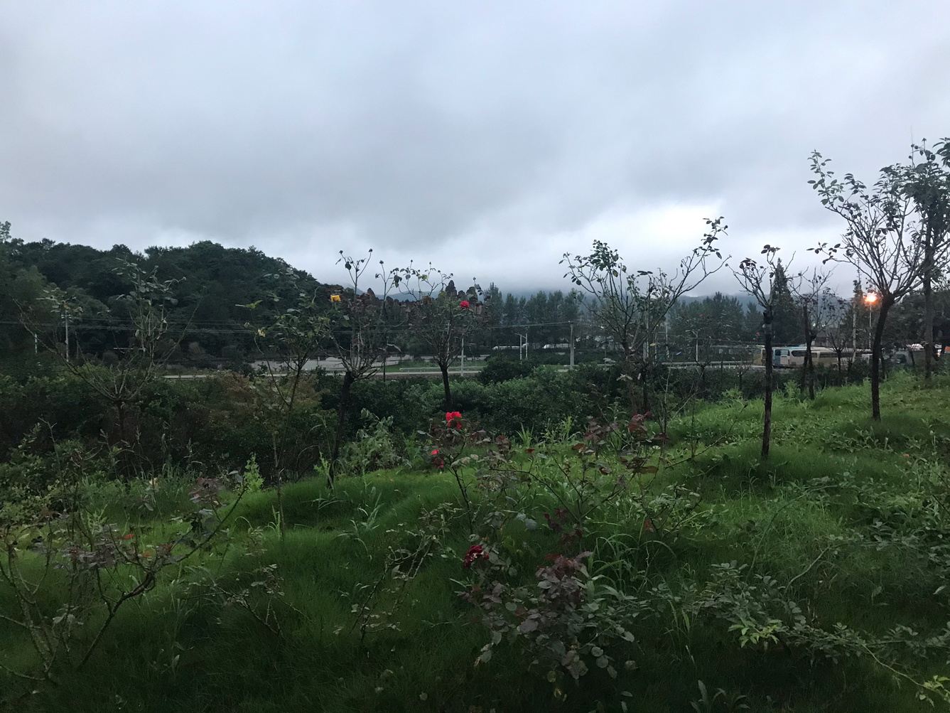 其他