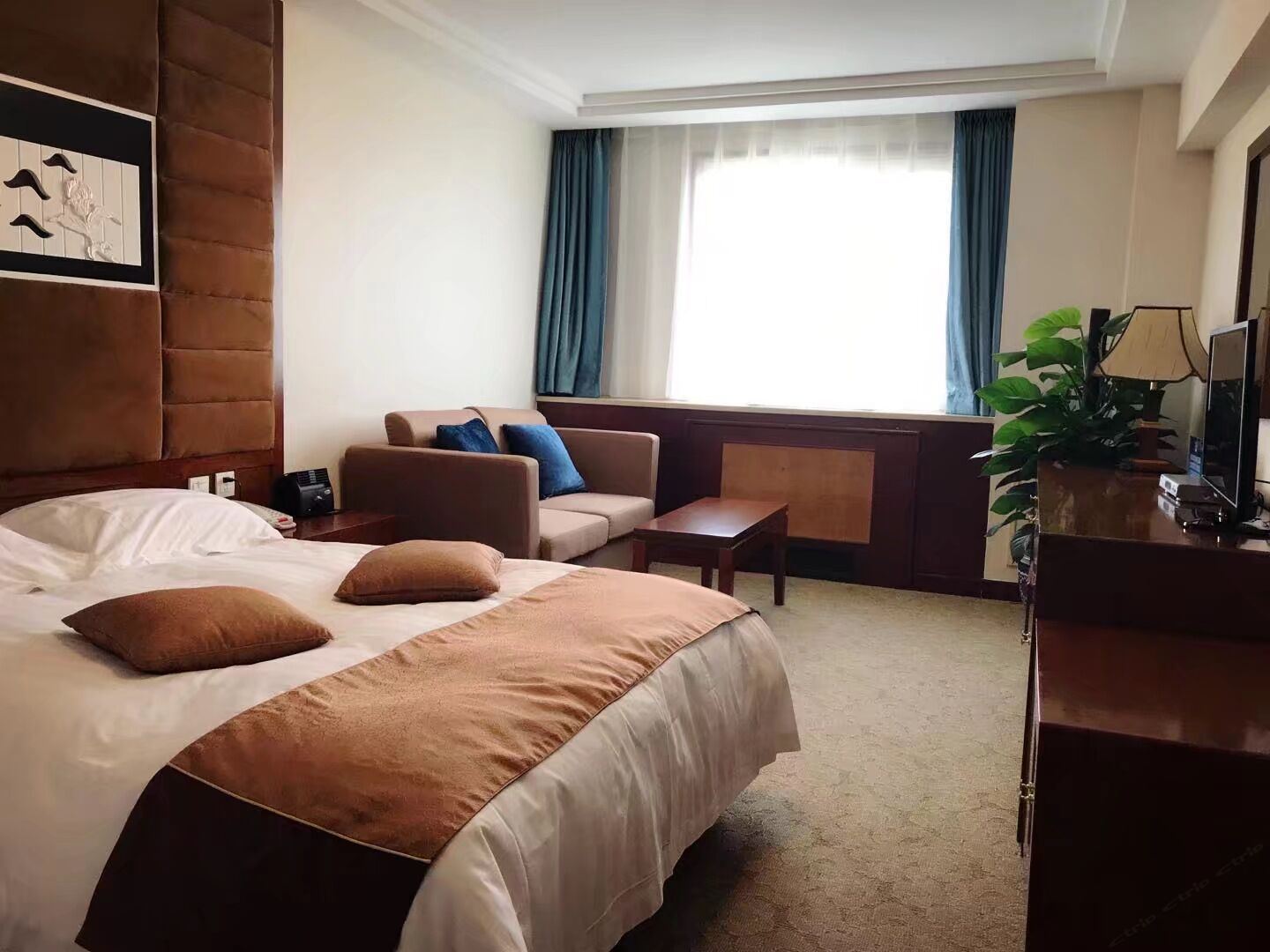标准大床间