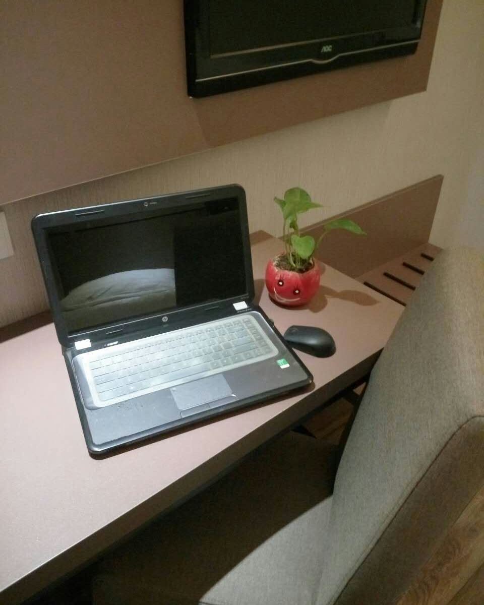 标准双床房B