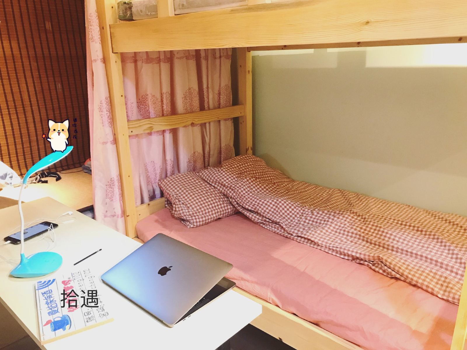 女生六人间(床位)(公共卫浴)