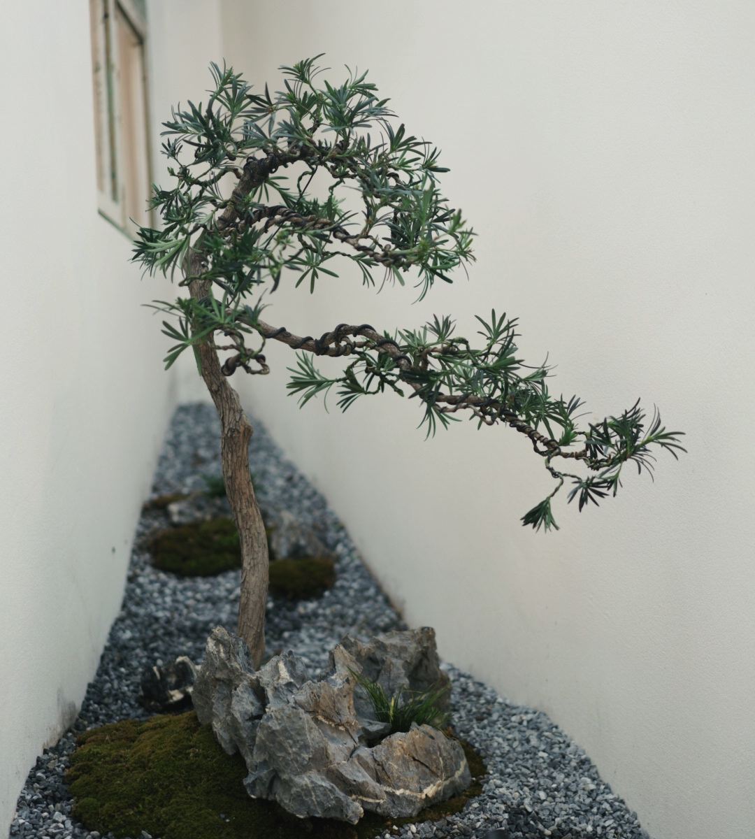 2号有松树的房间