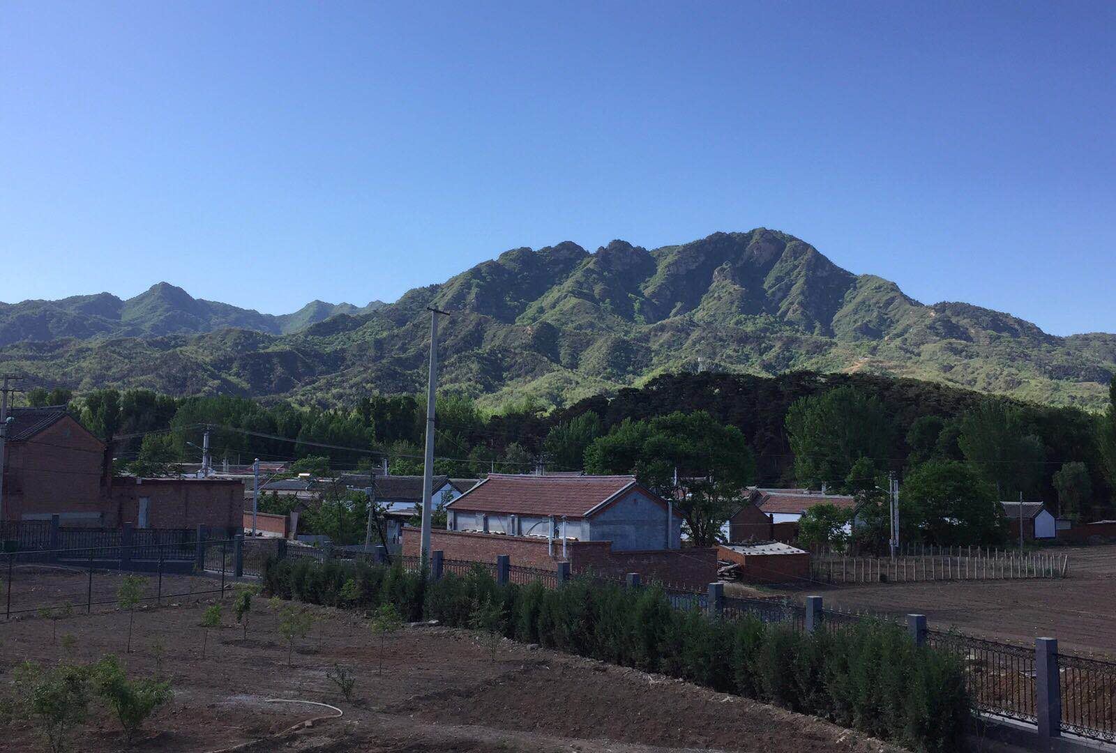 独立小院