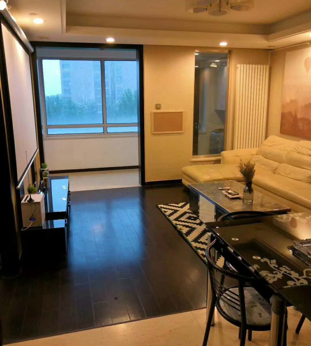 豪华数码投影一居室