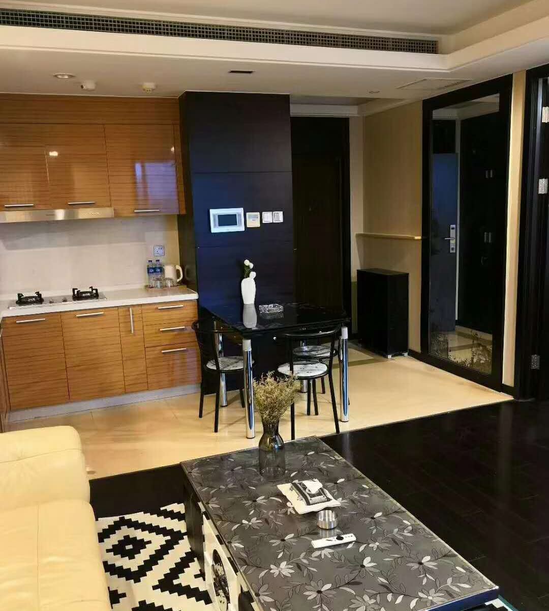 豪华数码投影一居室