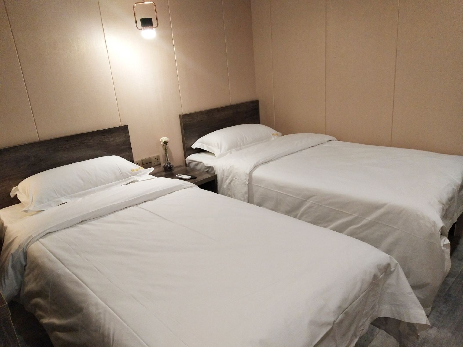 标准双床房