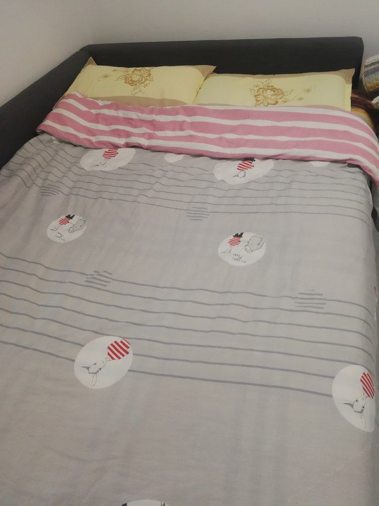 阳光一室一厅套房