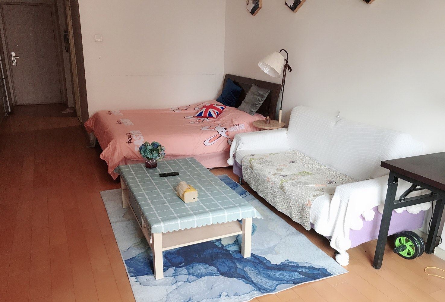 豪华一居室