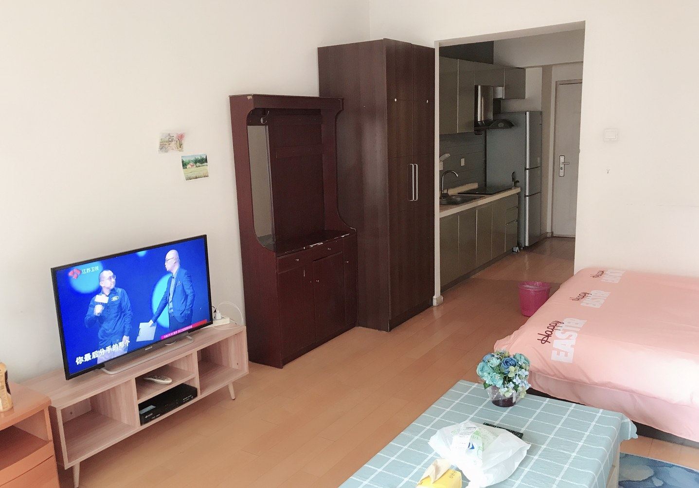豪华一居室