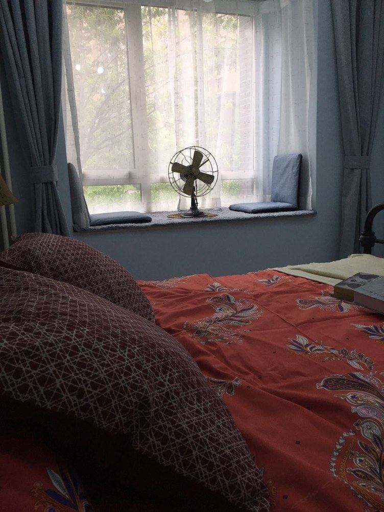 大两居