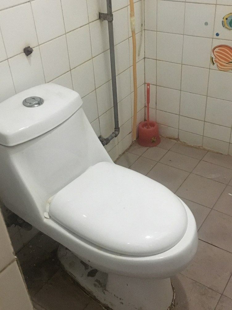二室单床房