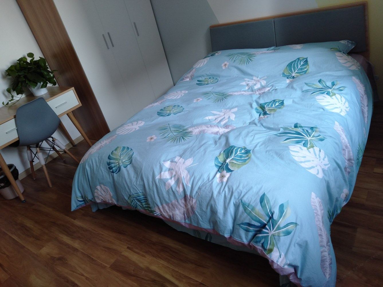 舒适一室一厅套房