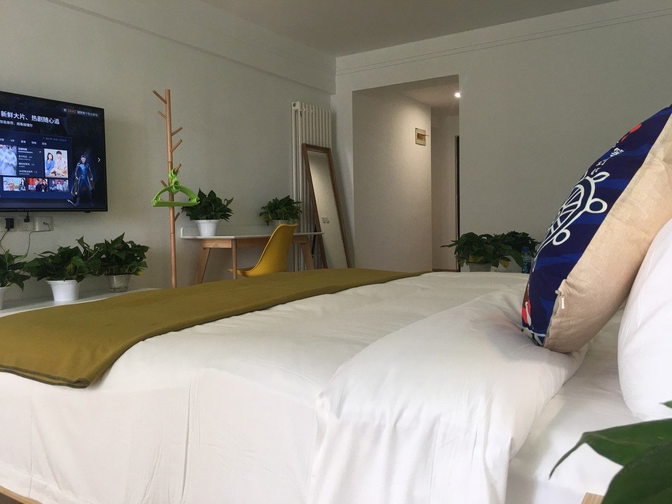 精致一居室