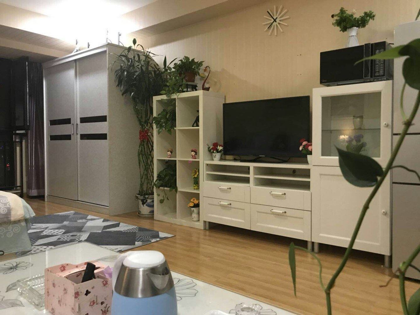 精装一室大床房