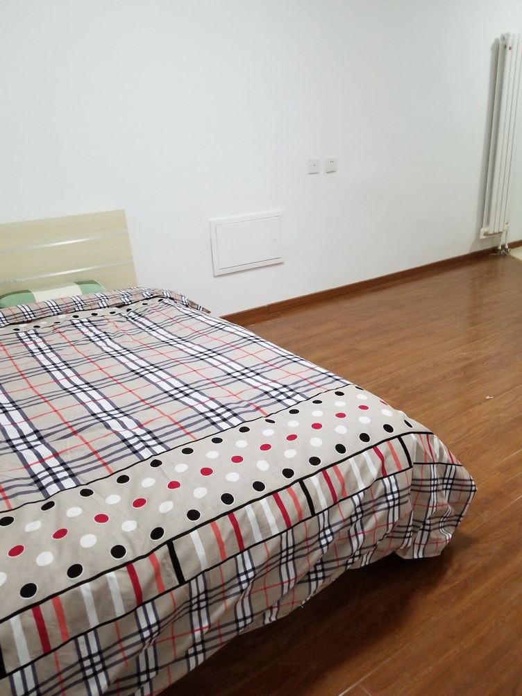 舒适温馨一室大床房