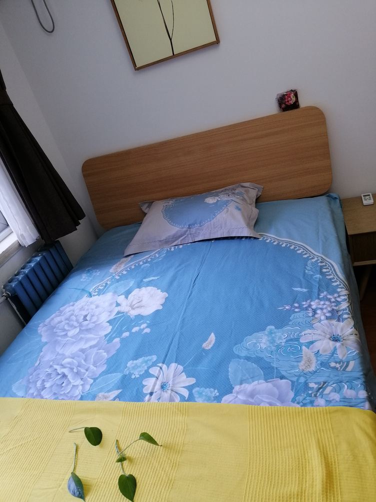 舒适二室一厅套房