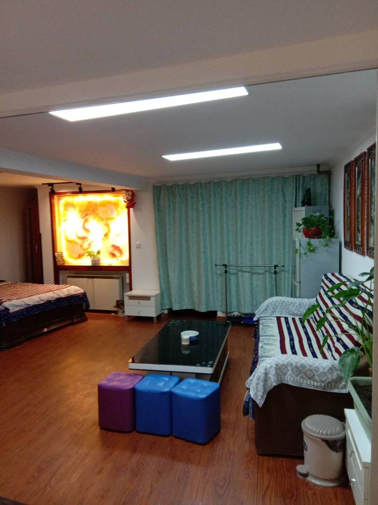 大两居
