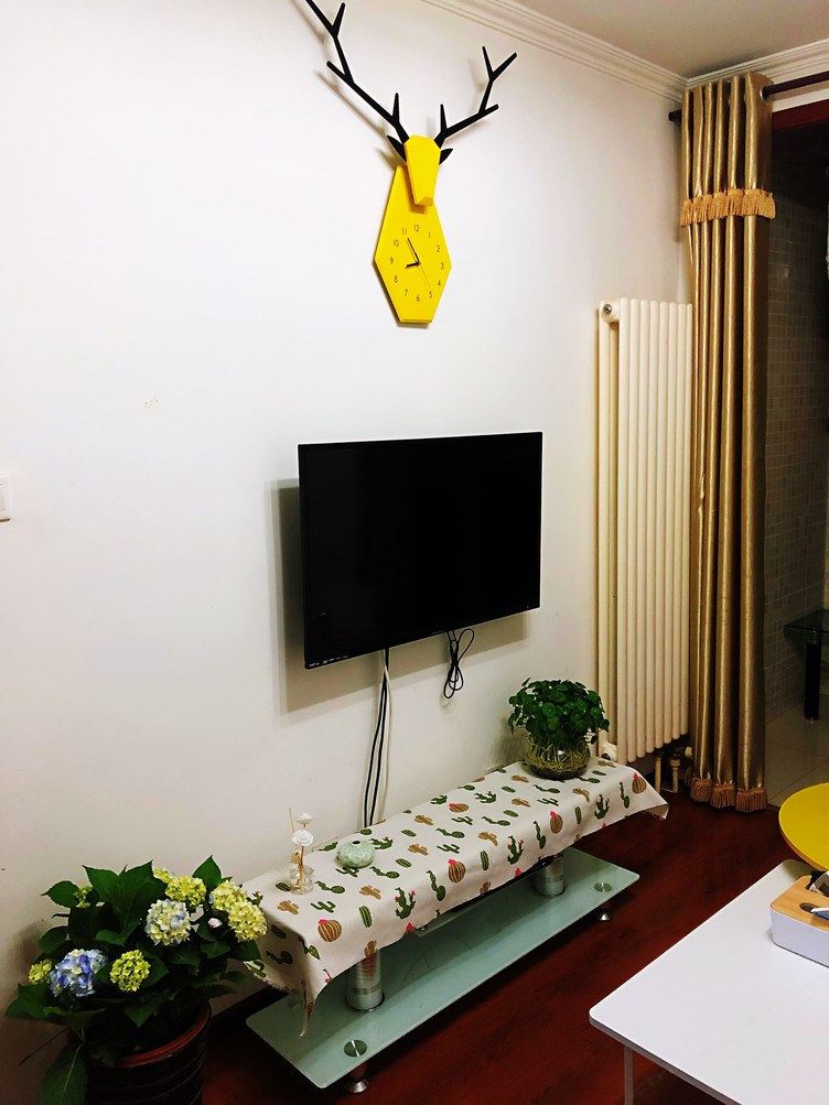 舒适一室一厅套房