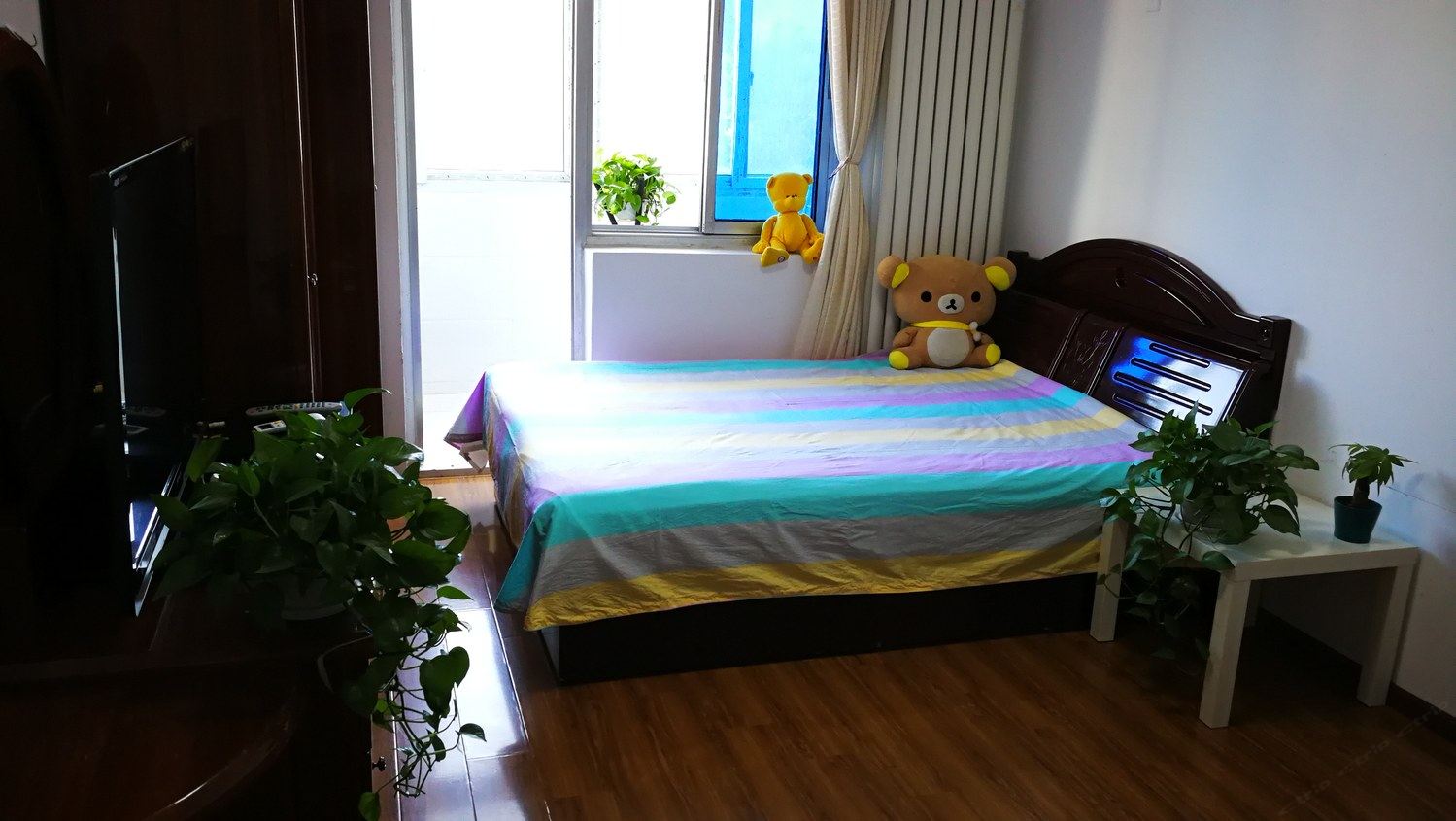 一室一厅套房