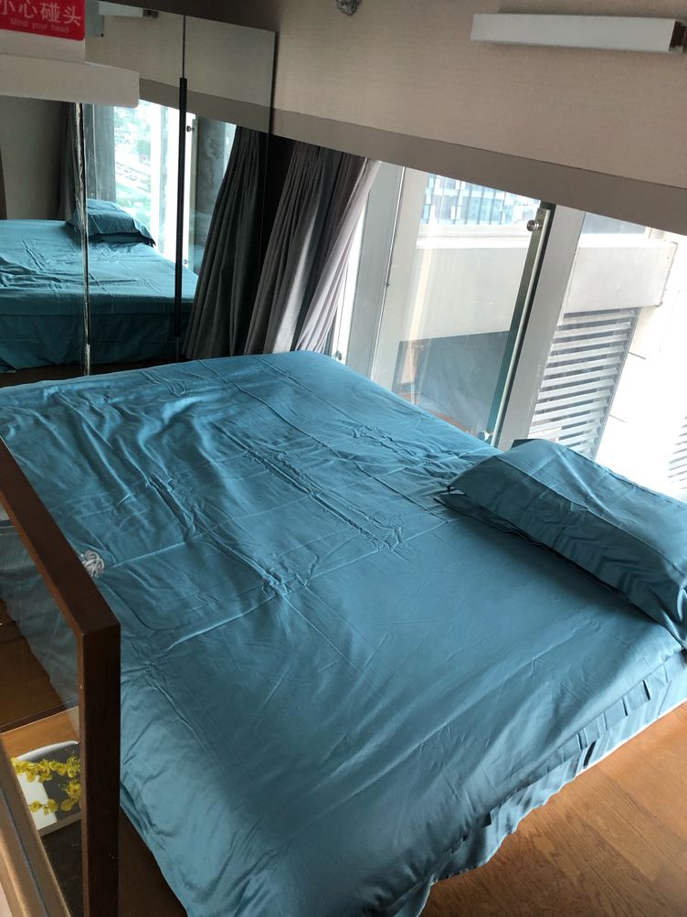 loft二室一厅套房