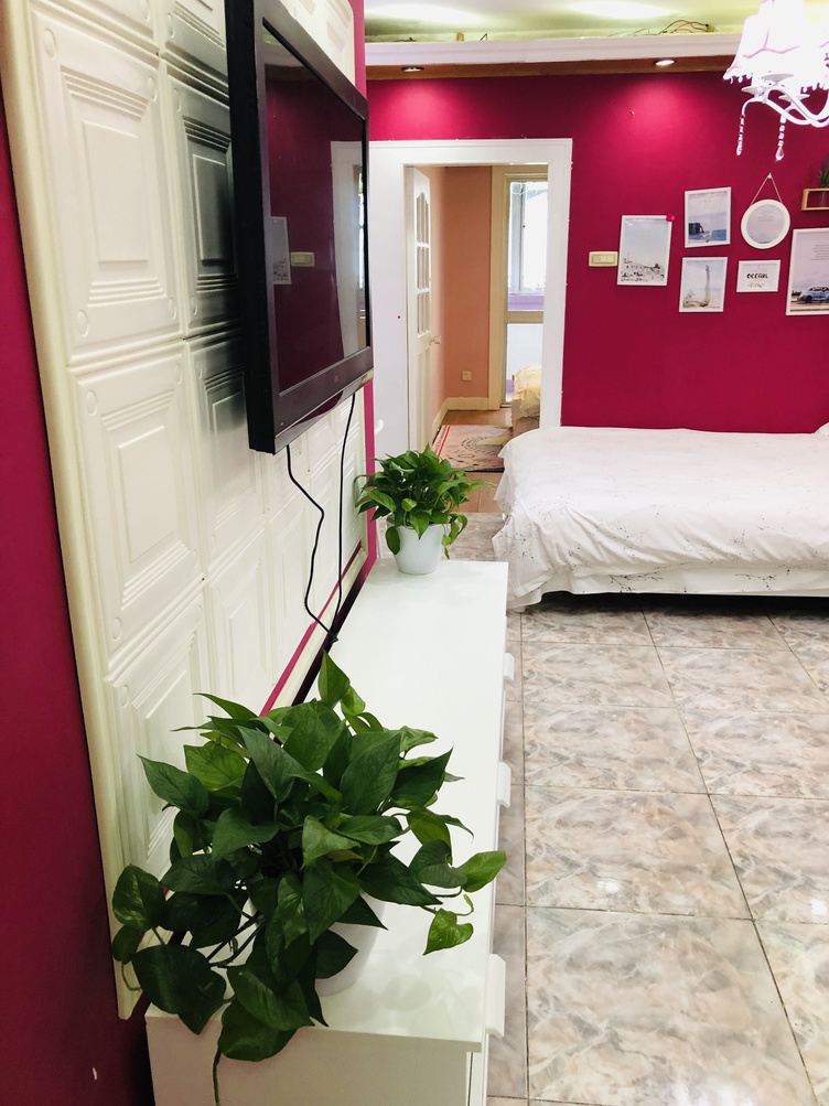 玫瑰二室大床房