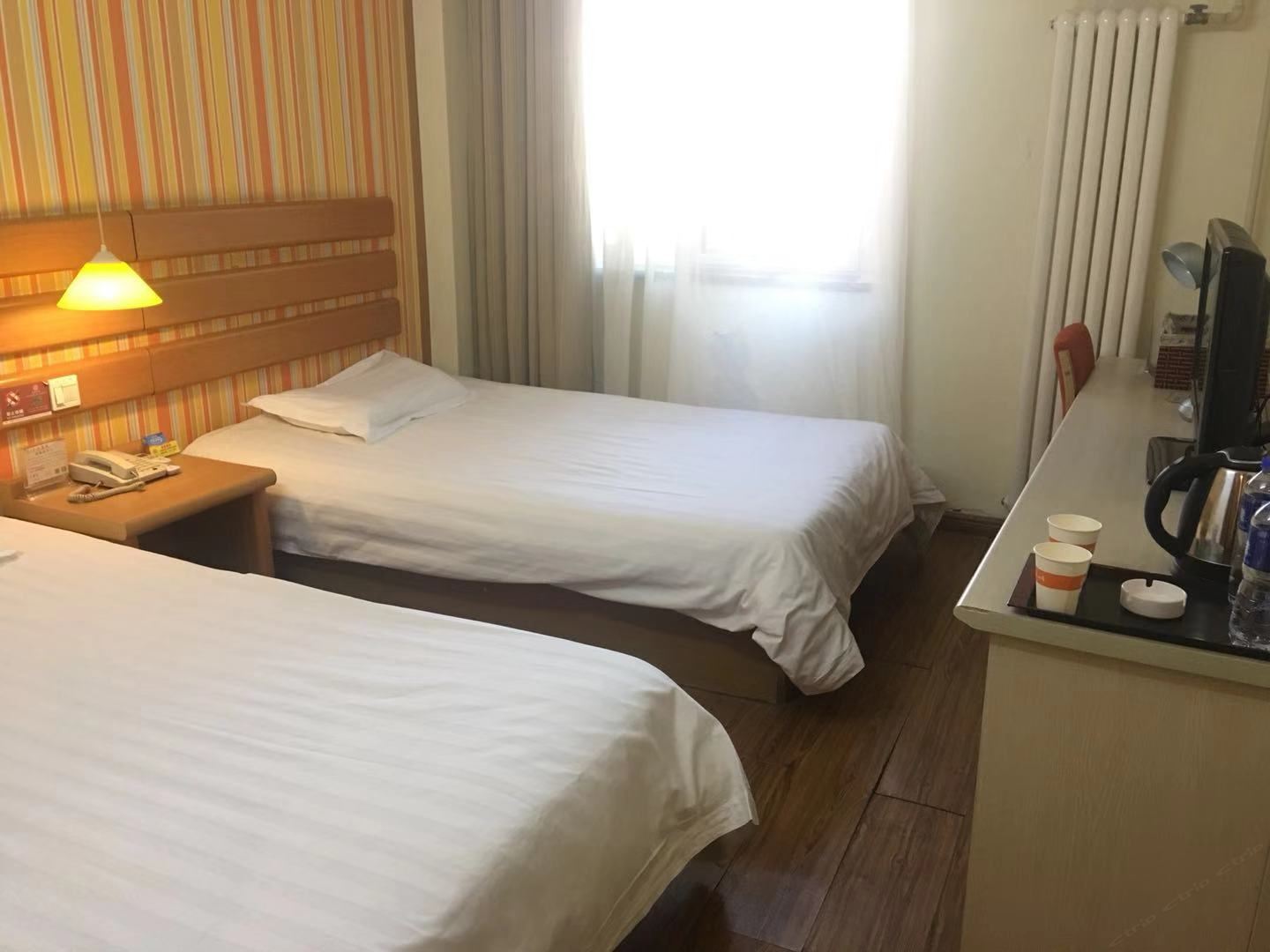 标准双床房B