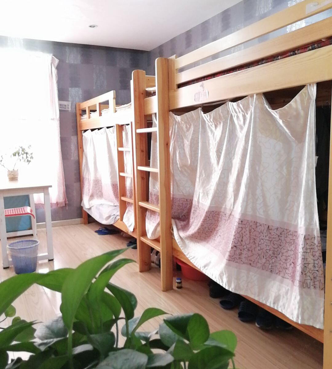 男女混住八人间床位
