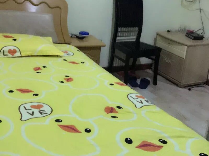 双床房(无窗)