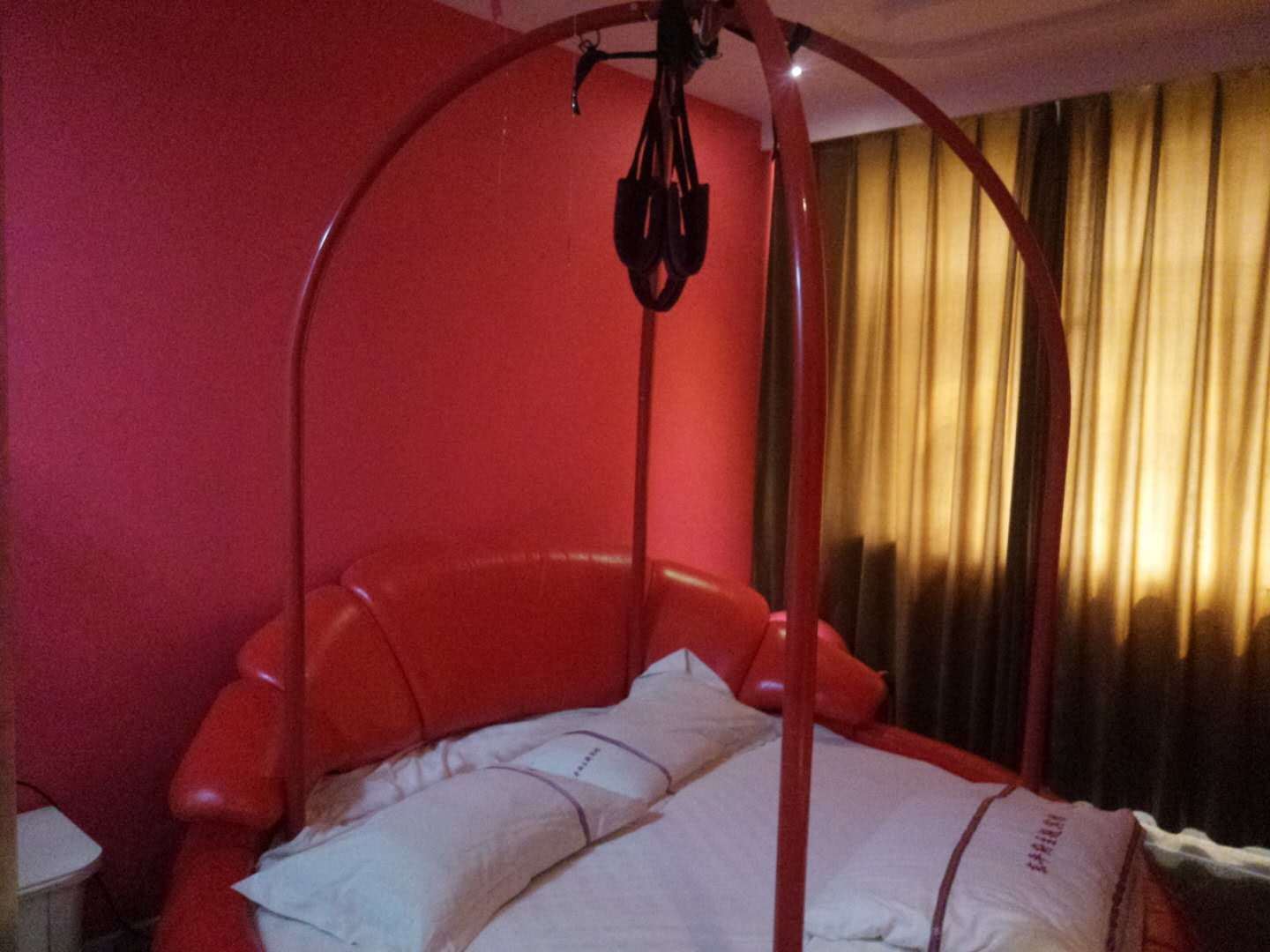 主题情趣电动房
