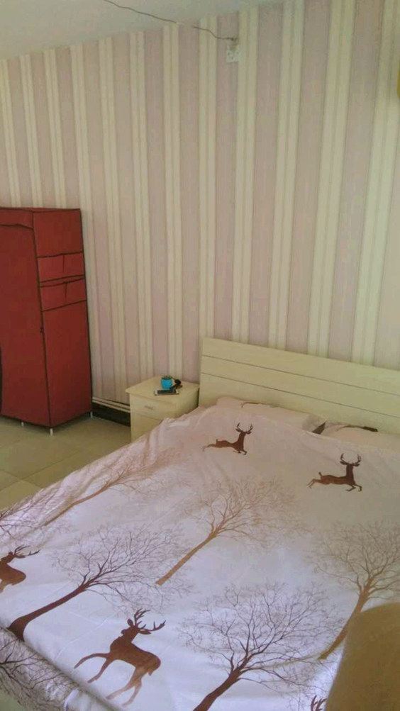 一室一厅