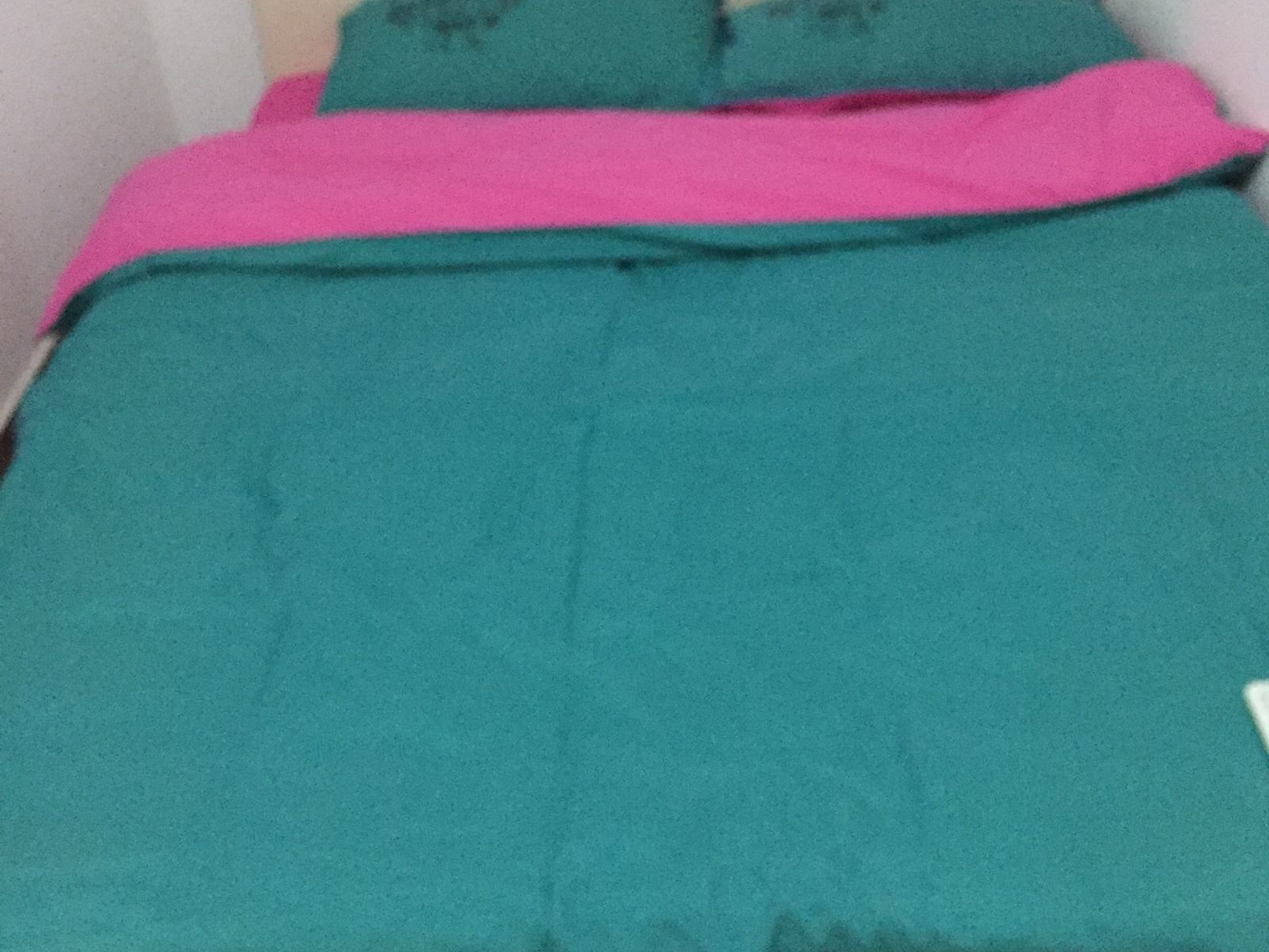 普通大床房