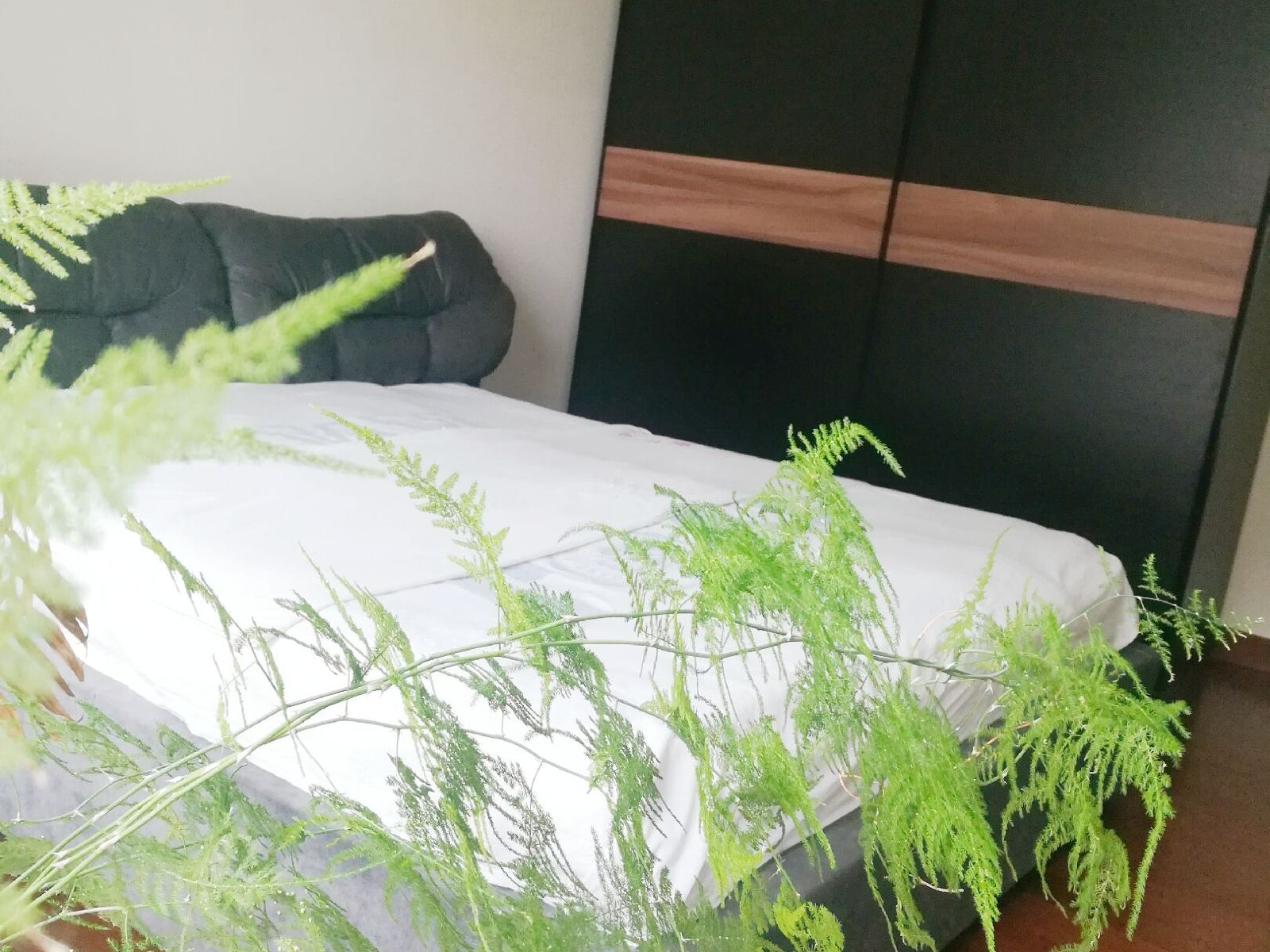 三室两厅套房