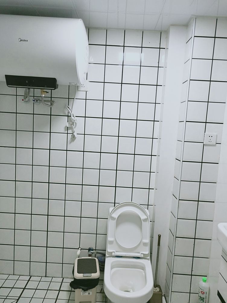清新一室单床房