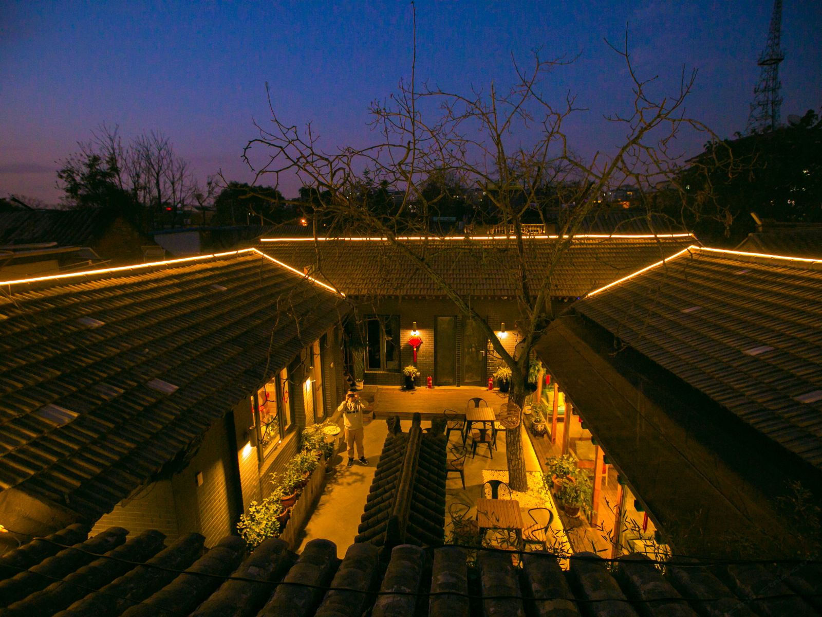 北京核桃树小院