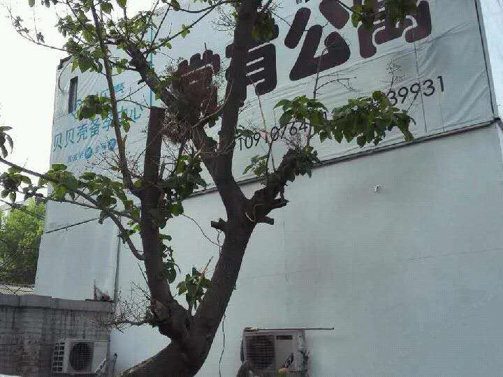 北京常有公寓