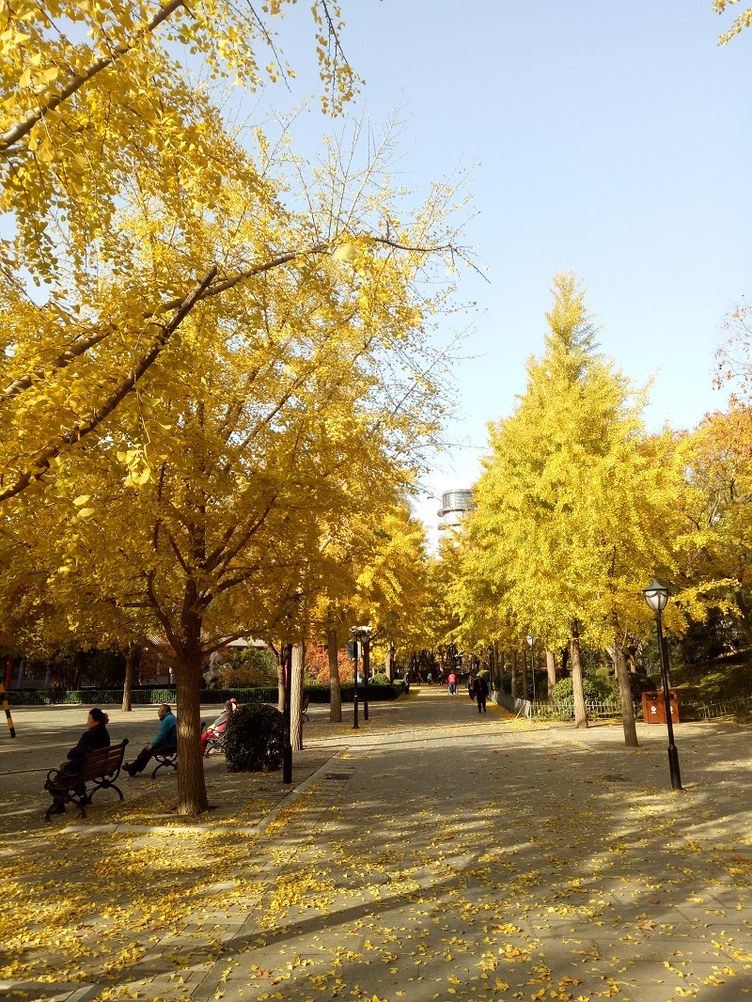 北京天澜之家公寓