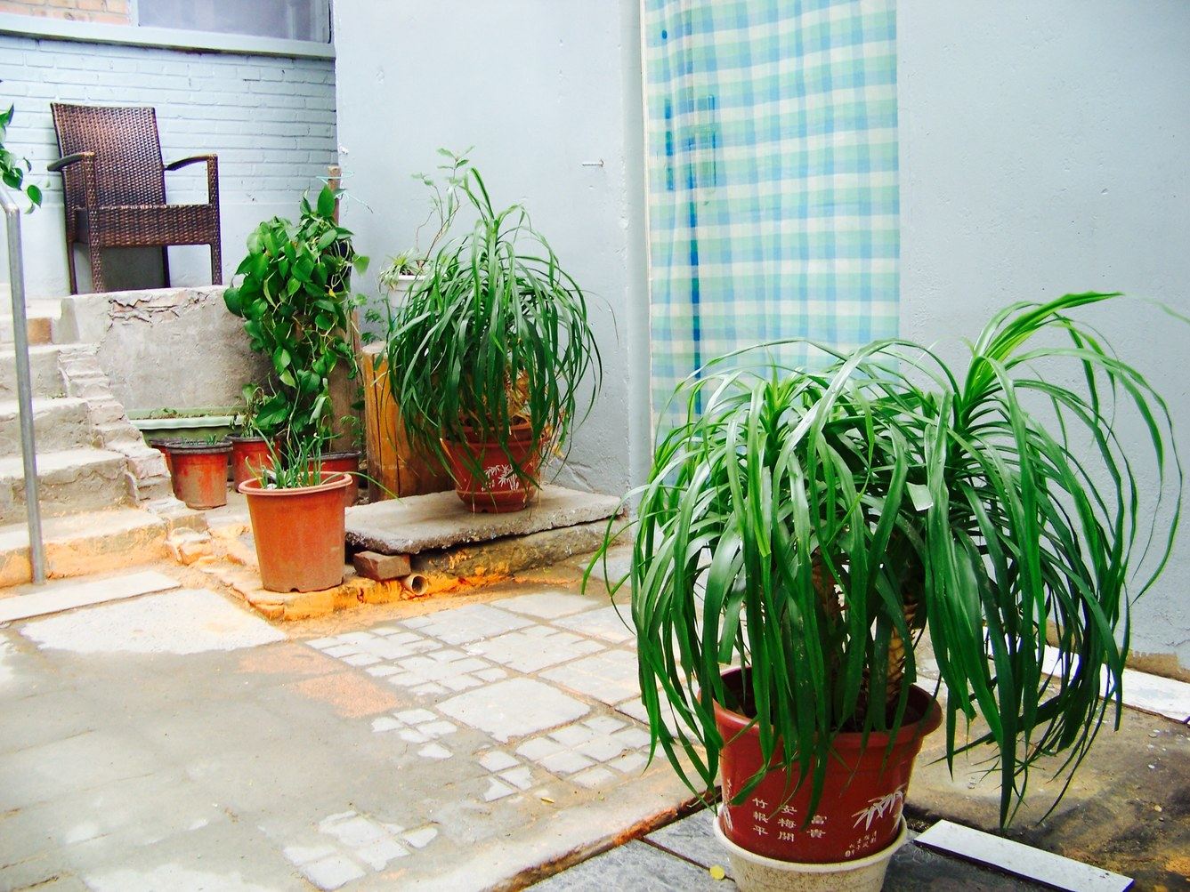 北京芥菜籽之家客栈