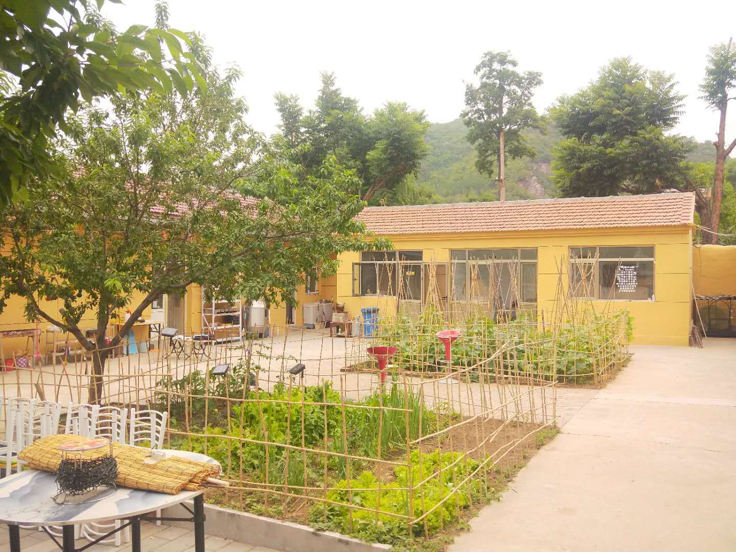公共区域