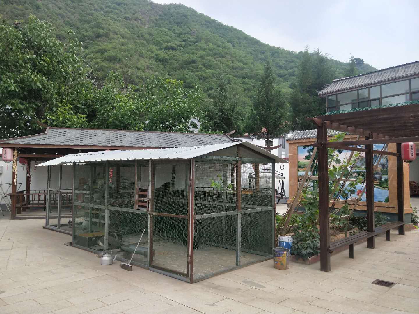 公共区域