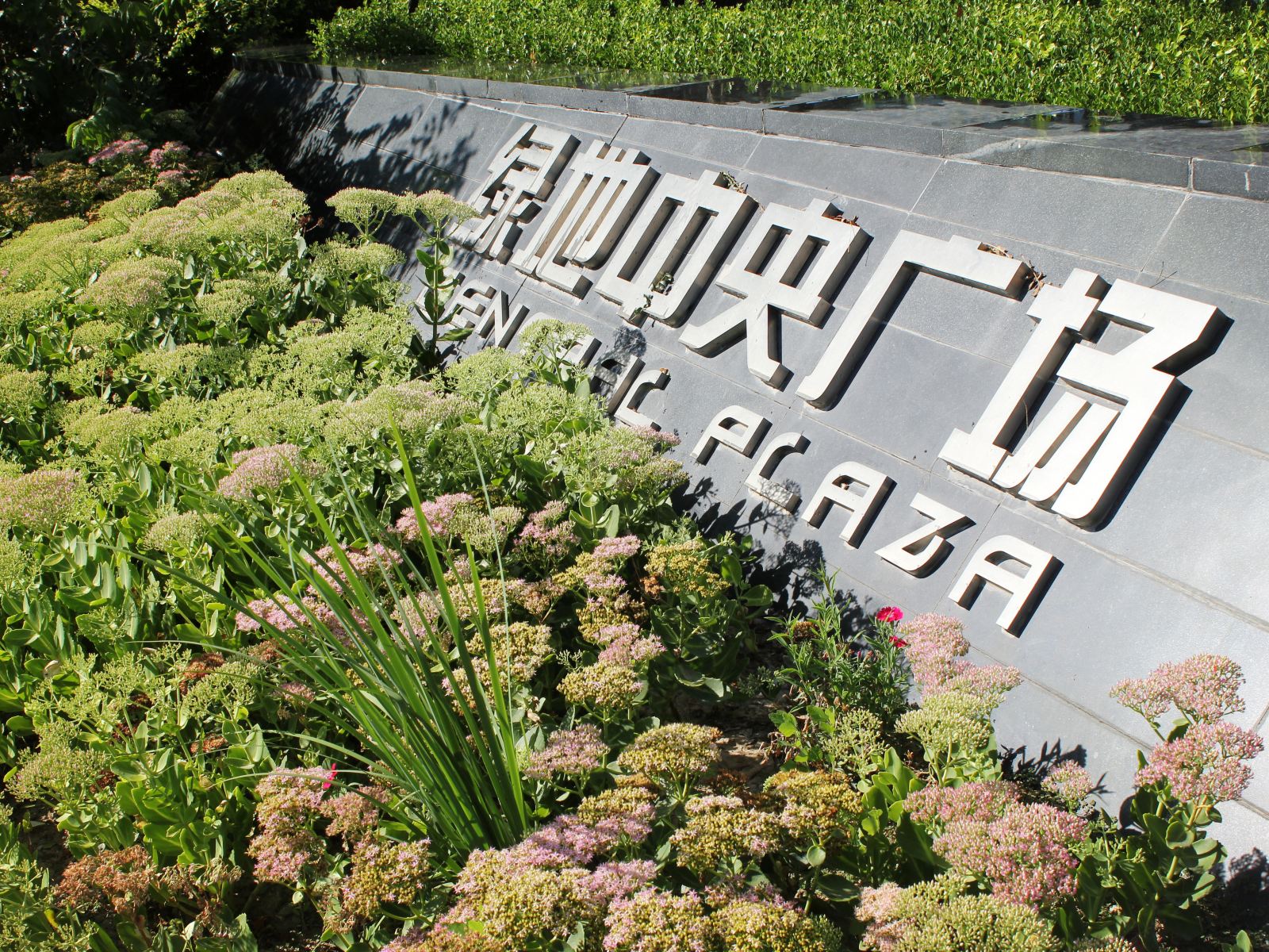 公共区域