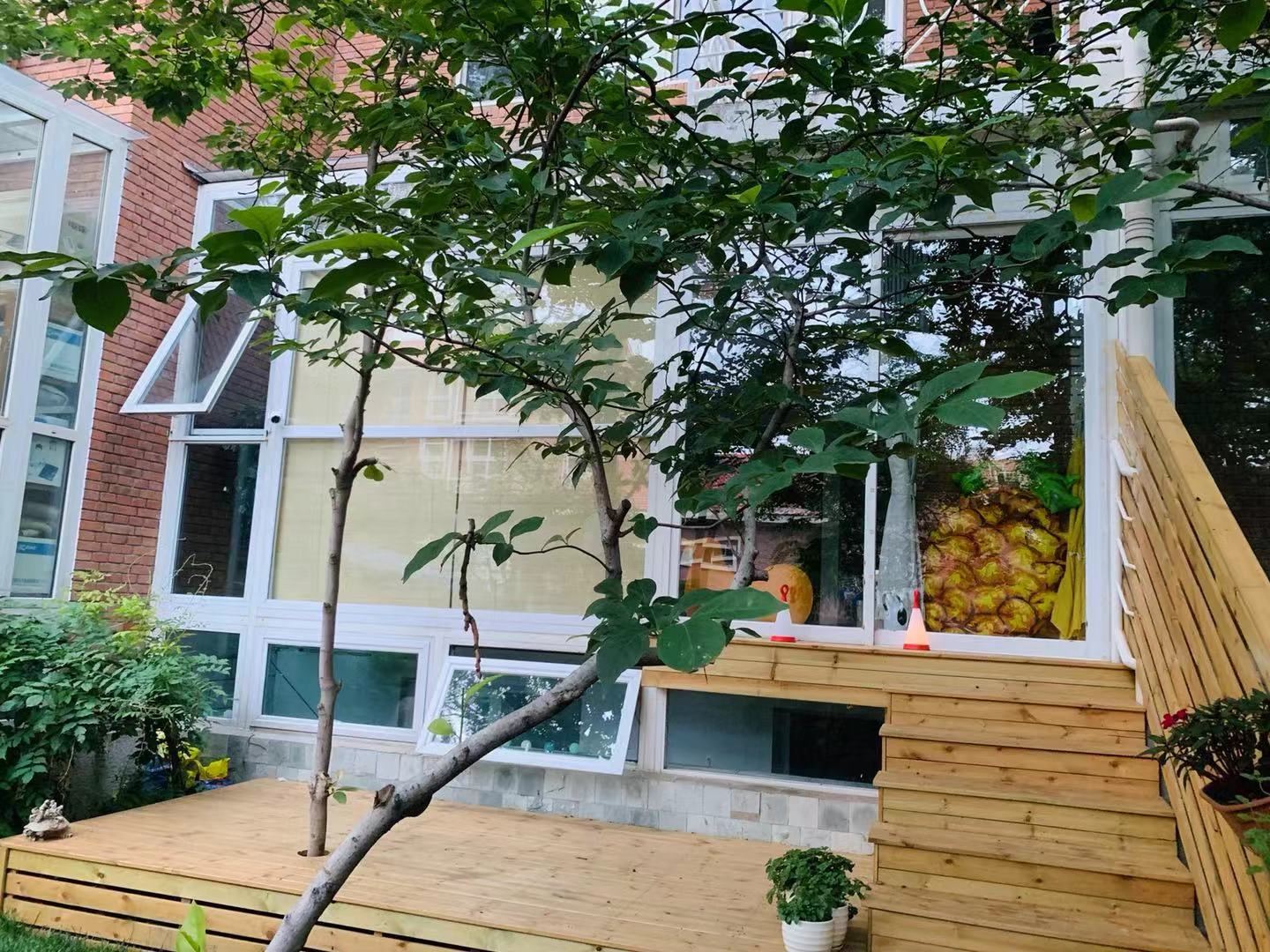 北京tree house民宿