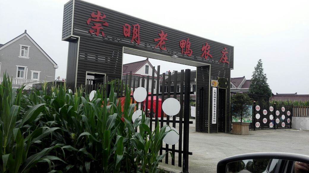 上海崇明老鸭农庄