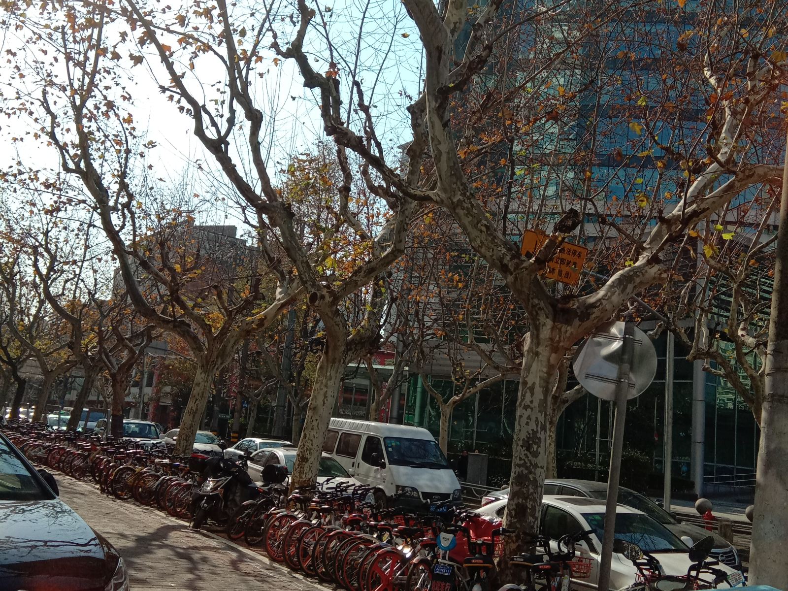 上海泽恺逸精品酒店